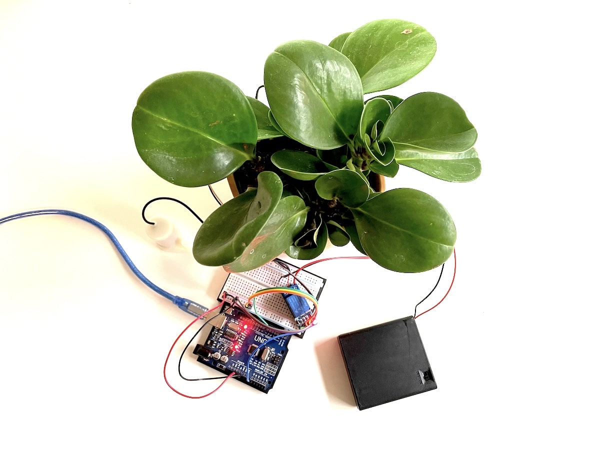 Automatic Plant Watering with an Arduino